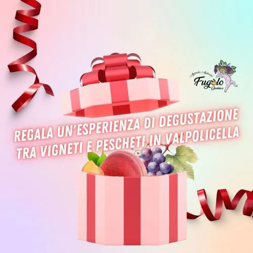 IMMAGINE ALT