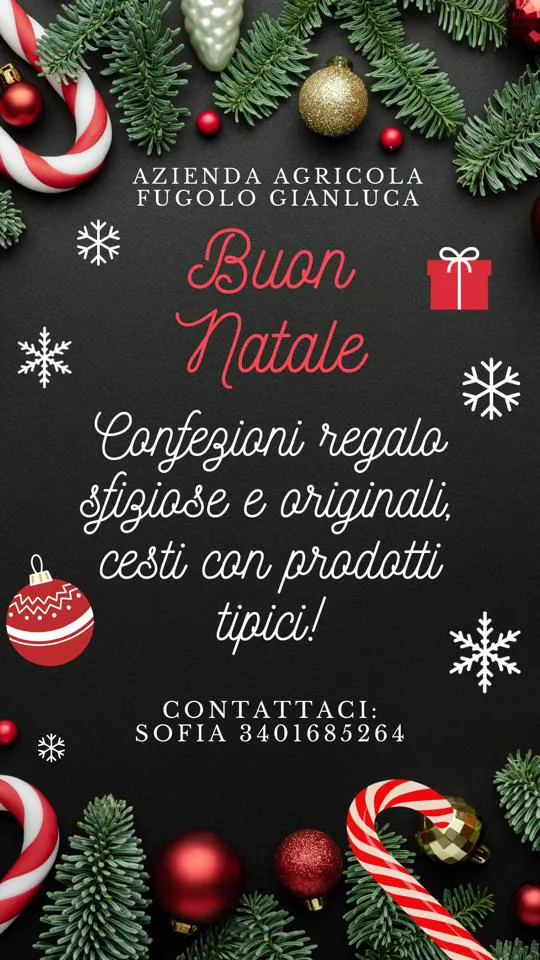 IMMAGINE ALT 