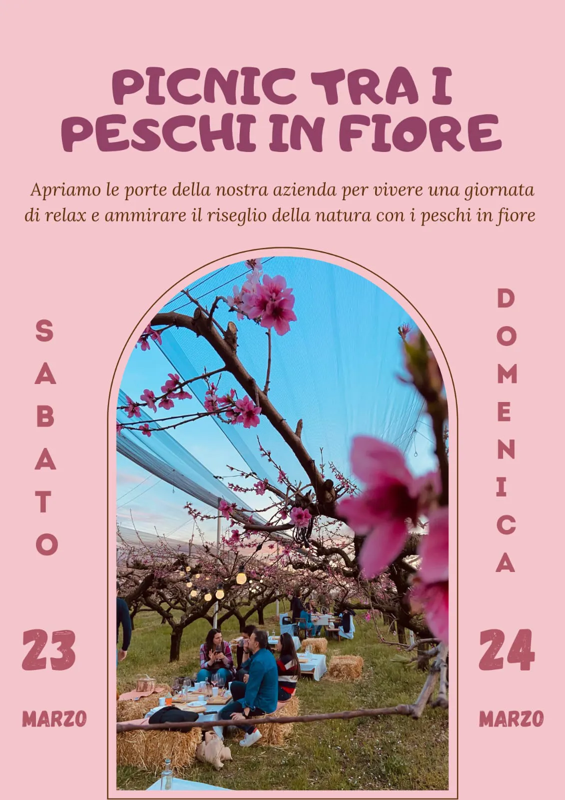 IMMAGINE ALT 