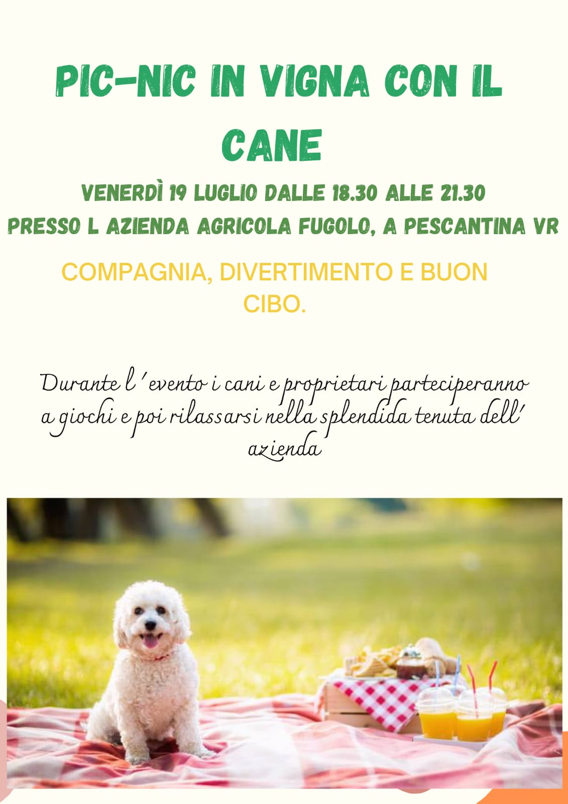 IMMAGINE ALT 