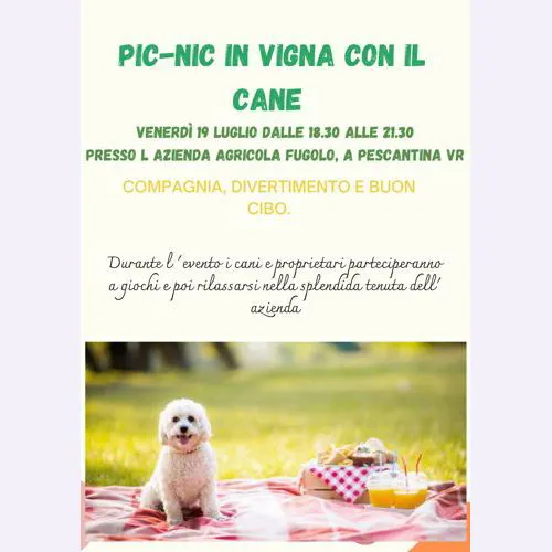 IMMAGINE ALT