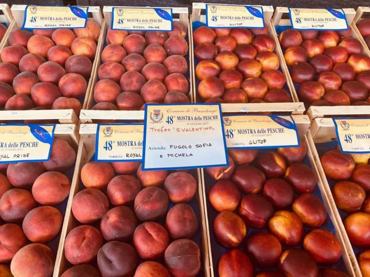 Pesche di produzione dell'azienda agricola Fugolo Gianluca - Verona