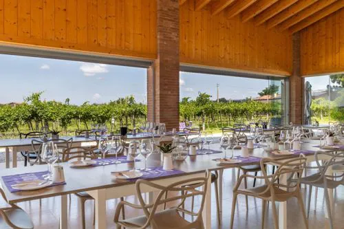 Una tavolata fra le vigne dell'azienda agricola Fugolo Gianluca, Verona
