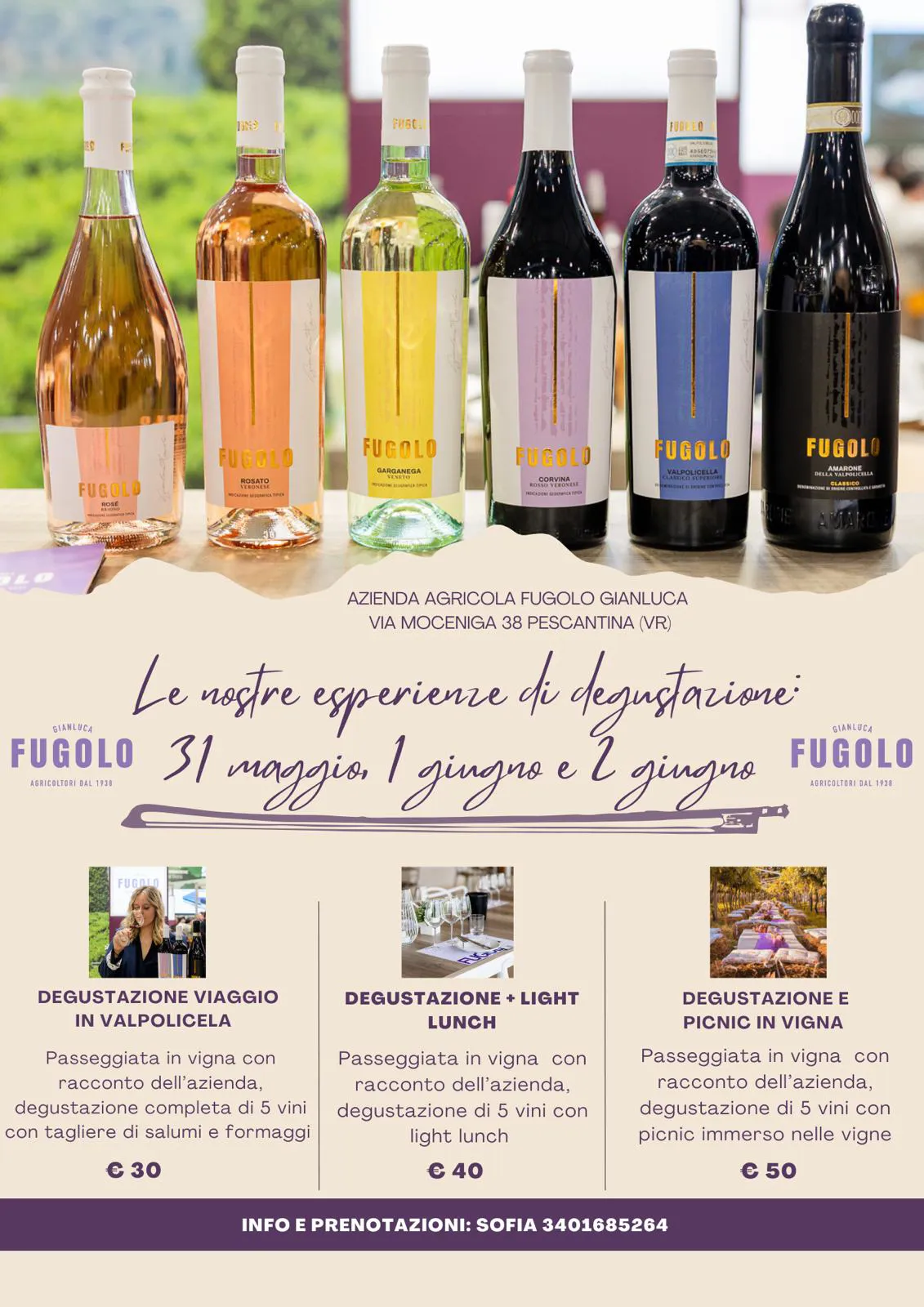 IMMAGINE ALT 