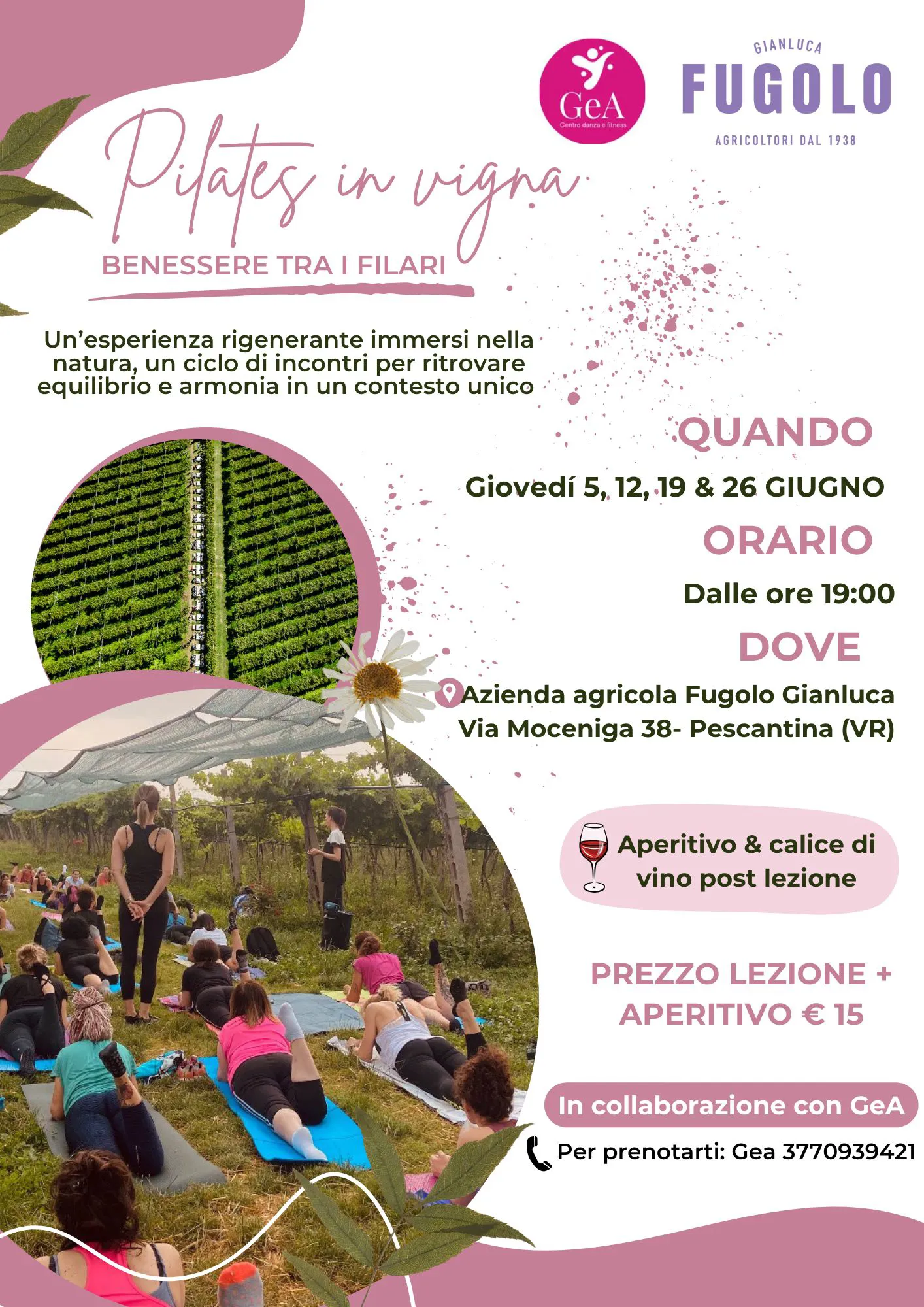 IMMAGINE ALT 