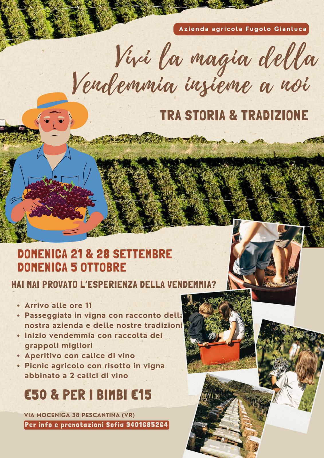 IMMAGINE ALT