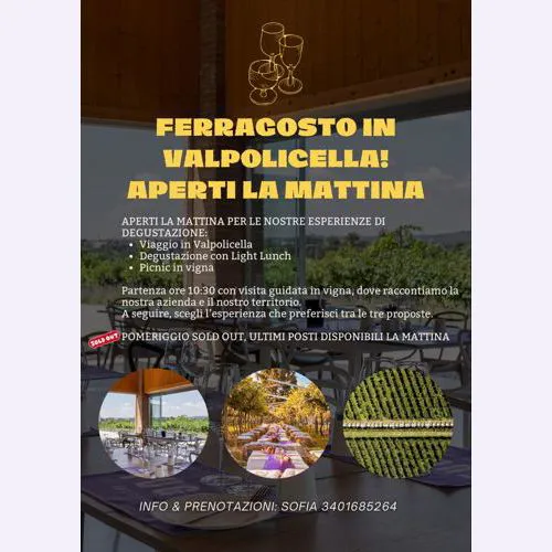 IMMAGINE ALT