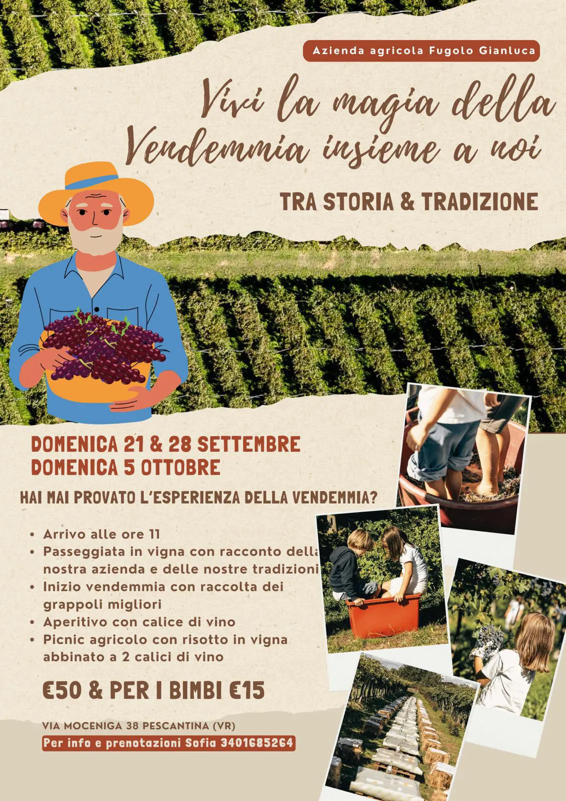 IMMAGINE ALT 