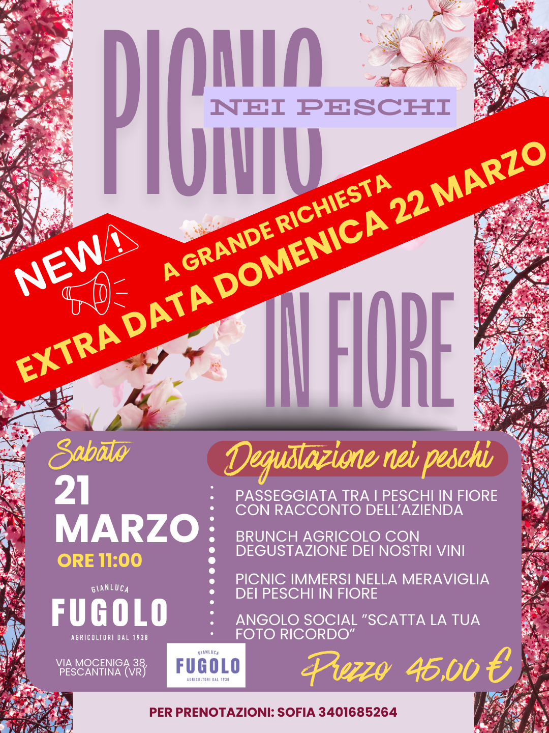 IMMAGINE ALT 