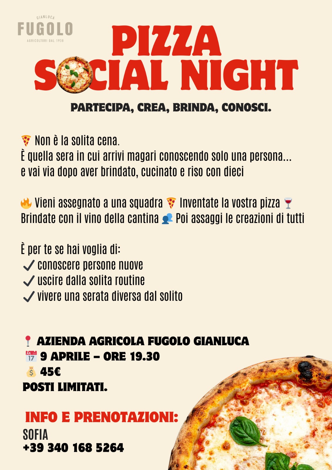 IMMAGINE ALT 