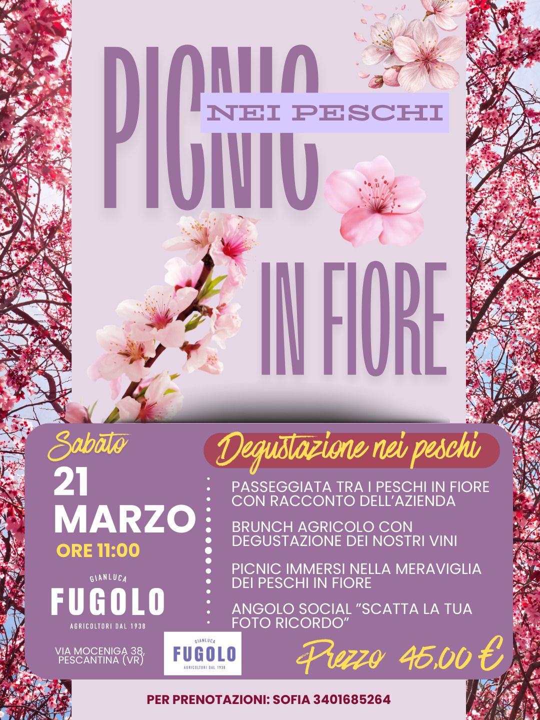 IMMAGINE ALT