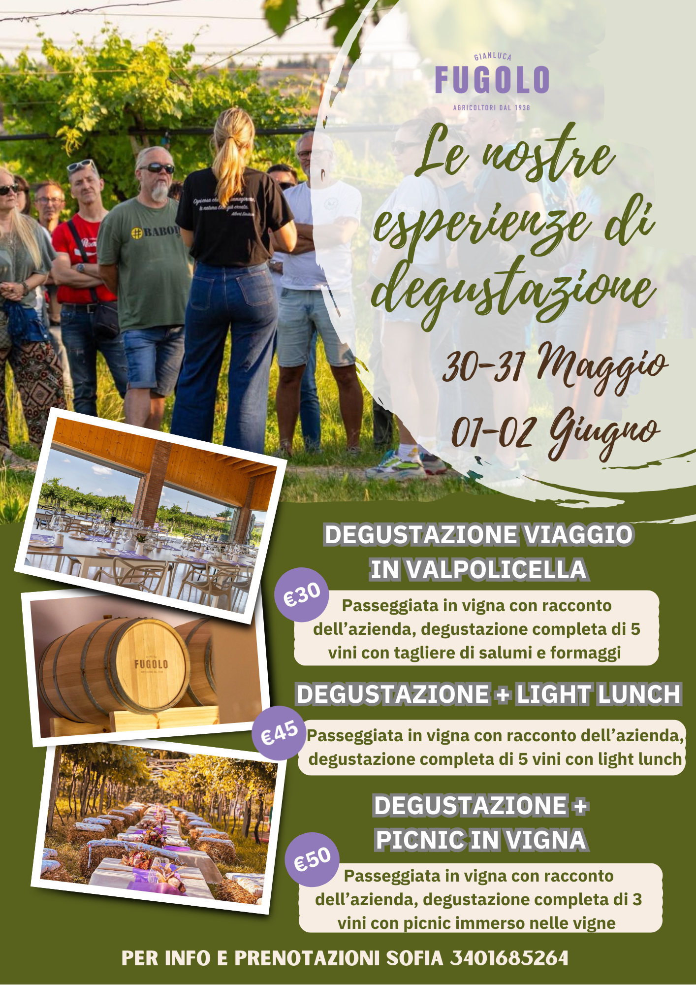 IMMAGINE ALT 