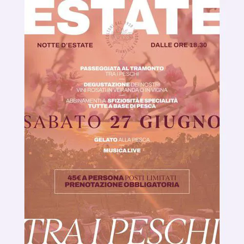 IMMAGINE ALT