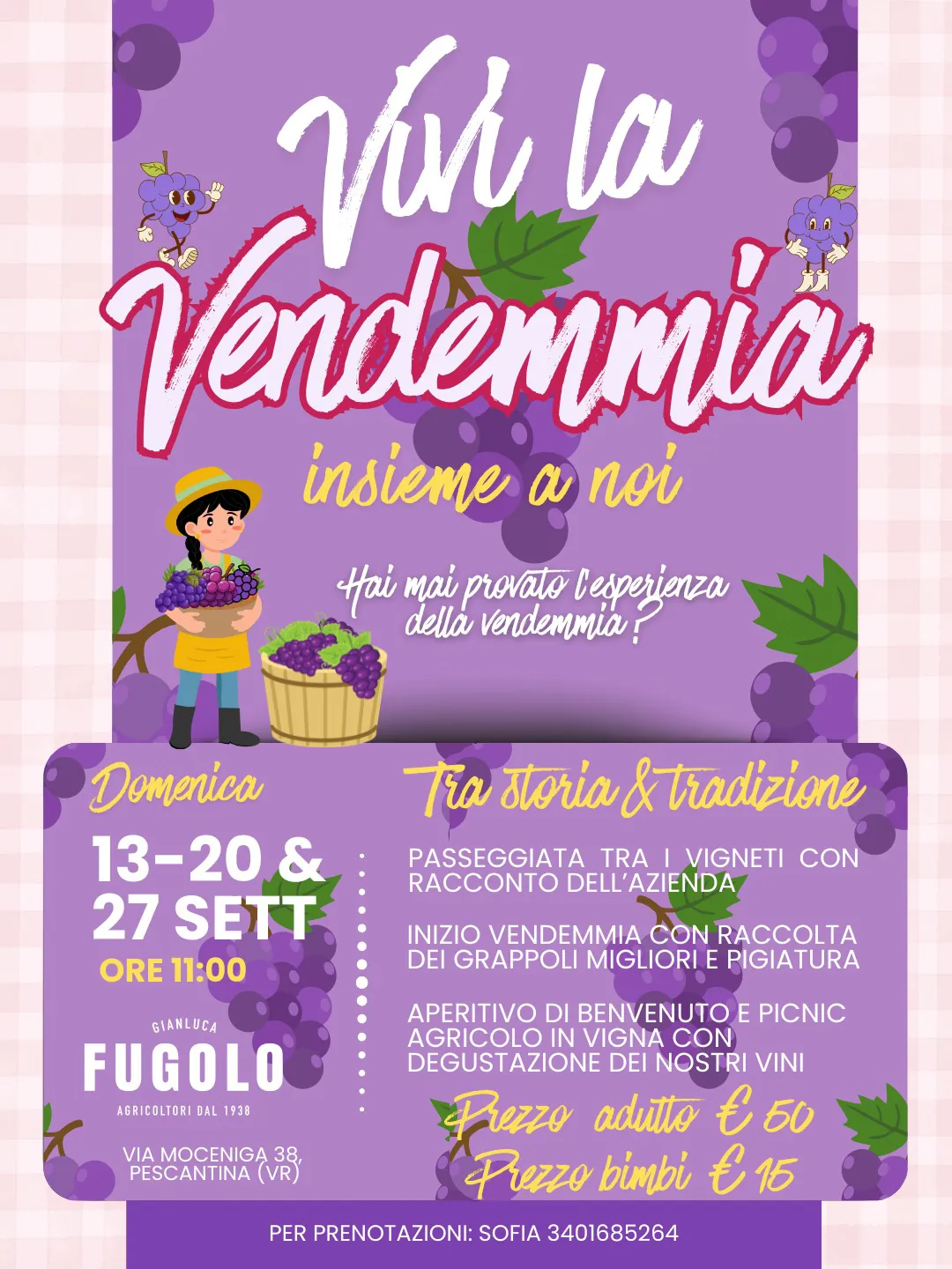 IMMAGINE ALT
