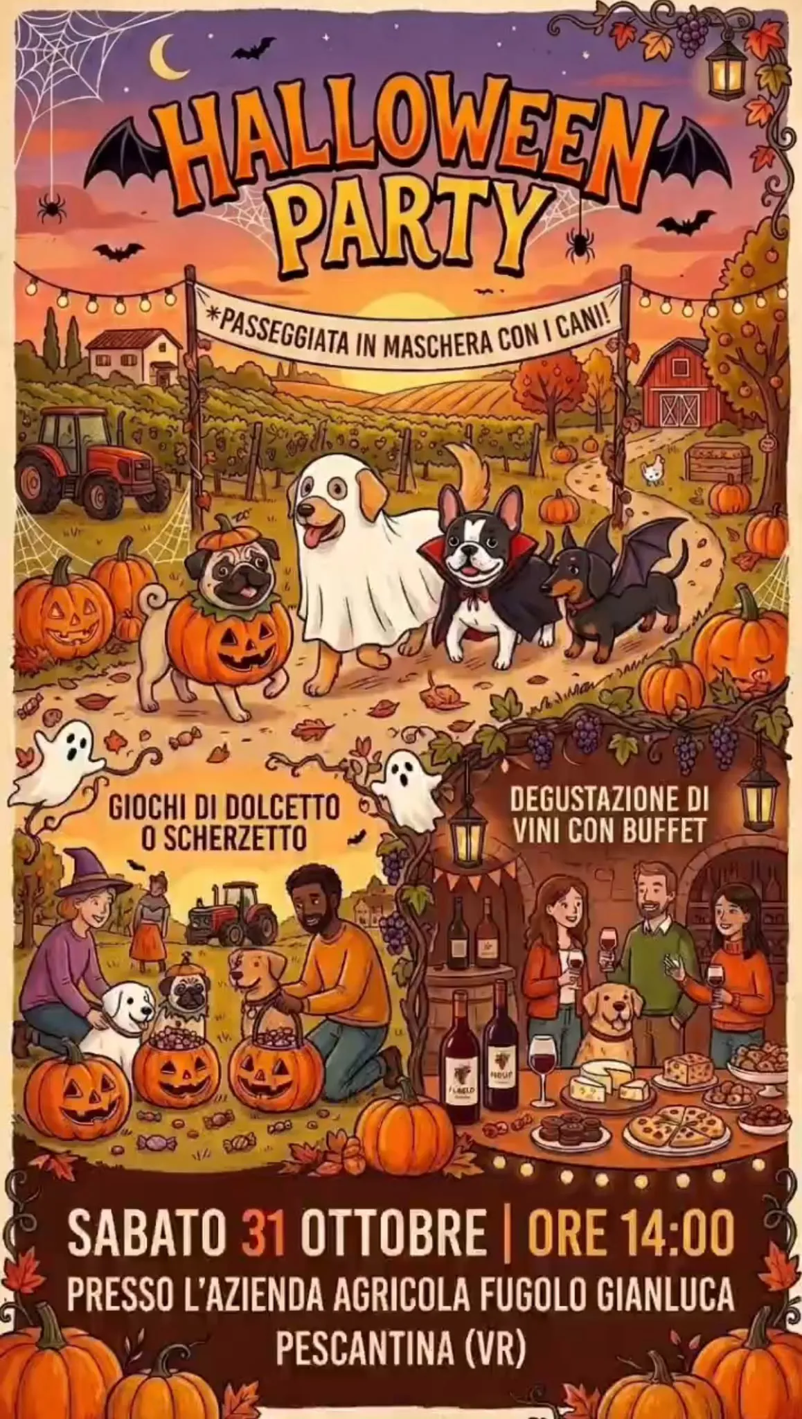 IMMAGINE ALT