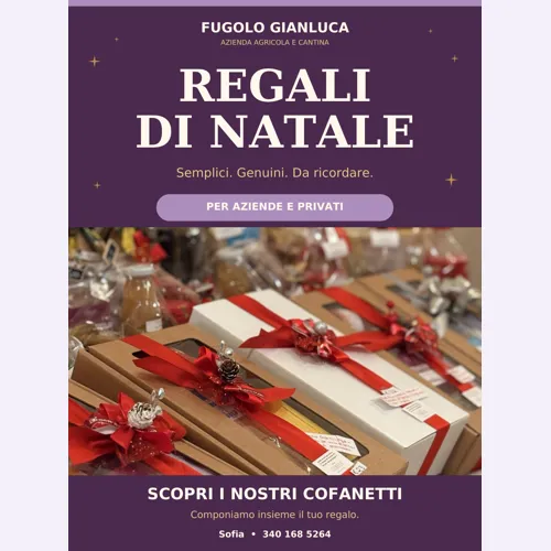 IMMAGINE ALT